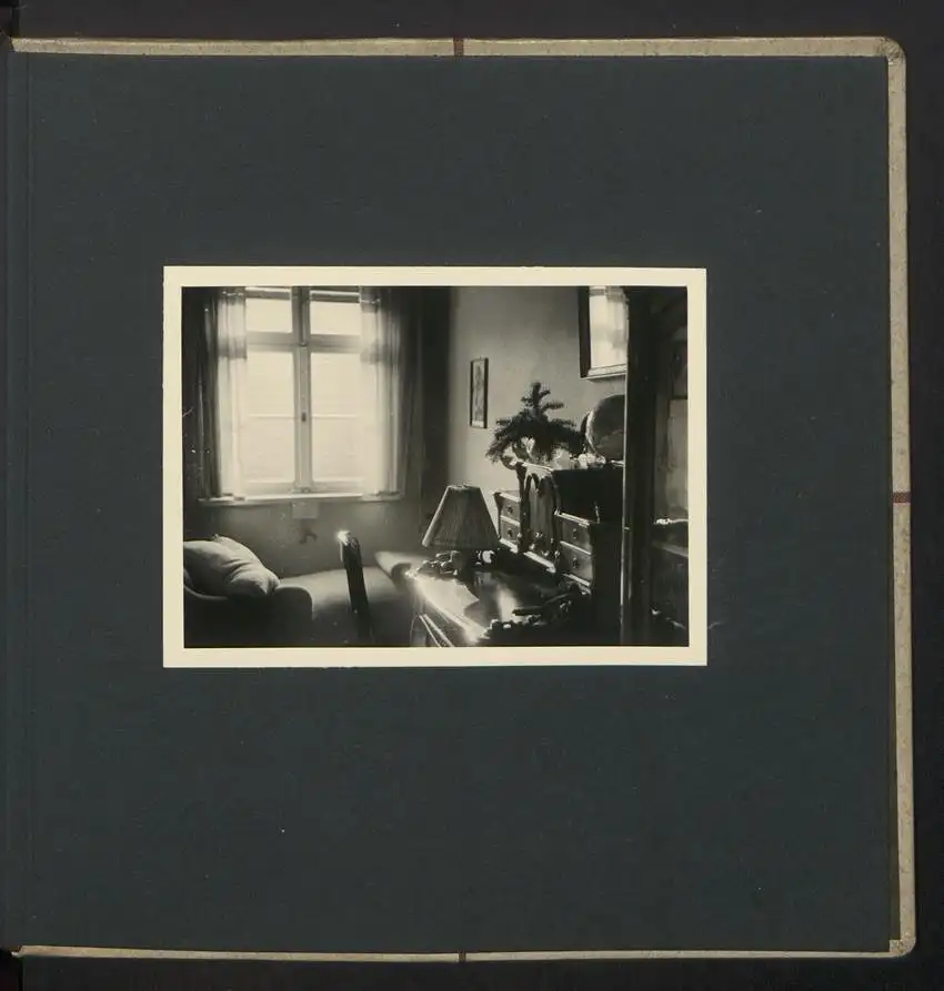 Fotoalbum mit 74 Fotografien, Ansicht Dessau-Rosslau, Apotheke und Heilpflanzenanbau Dr. Luxat, Innenansicht, Medikamente 37