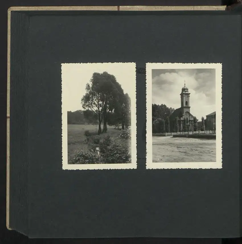 Fotoalbum mit 74 Fotografien, Ansicht Dessau-Rosslau, Apotheke und Heilpflanzenanbau Dr. Luxat, Innenansicht, Medikamente 38
