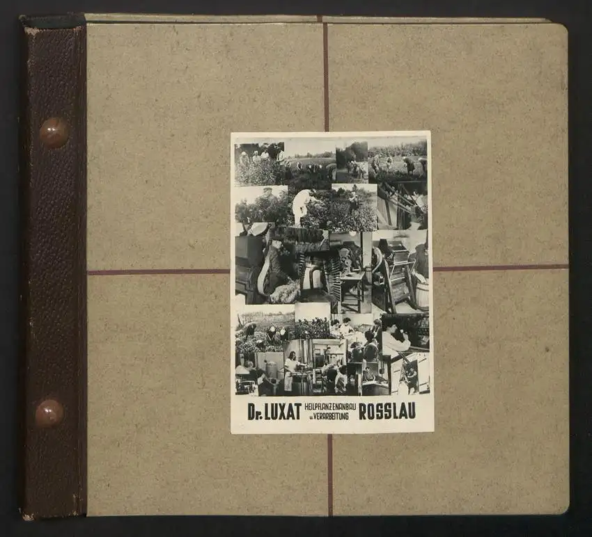 Fotoalbum mit 74 Fotografien, Ansicht Dessau-Rosslau, Apotheke und Heilpflanzenanbau Dr. Luxat, Innenansicht, Medikamente 39