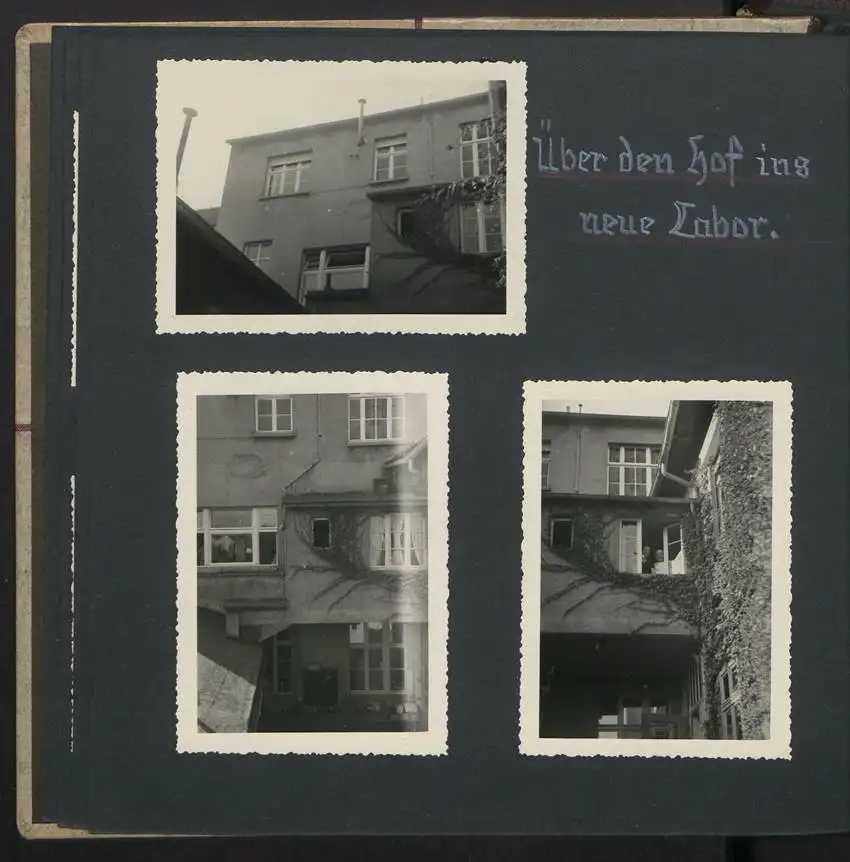 Fotoalbum mit 74 Fotografien, Ansicht Dessau-Rosslau, Apotheke und Heilpflanzenanbau Dr. Luxat, Innenansicht, Medikamente 8