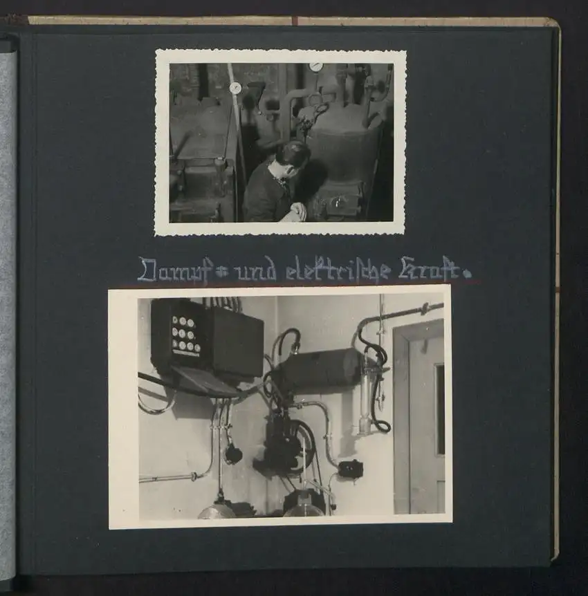 Fotoalbum mit 74 Fotografien, Ansicht Dessau-Rosslau, Apotheke und Heilpflanzenanbau Dr. Luxat, Innenansicht, Medikamente 9
