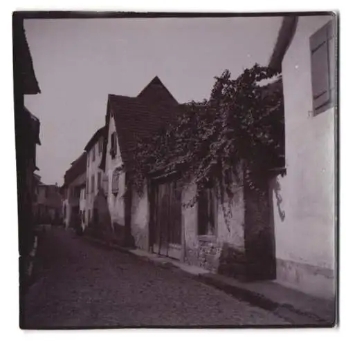 Fotografie unbekannter Fotograf, Ansicht Turckheim / Elsass, Gebäude von wildem Wein überwuchert