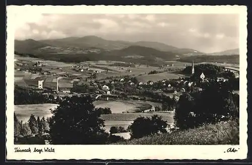 AK Teisnach /Bayr. Wald, Ortsansicht mit Blick ins Land