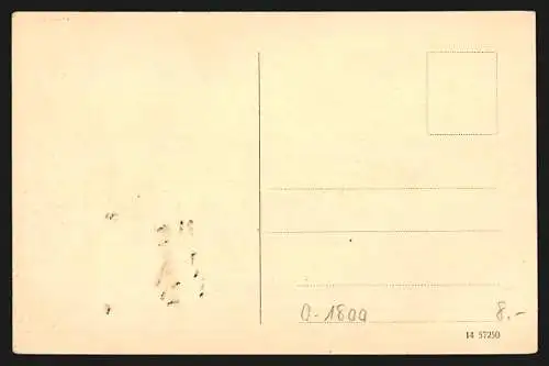 AK Brandenburg a. H., Die Bismarckwarte