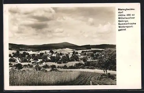 AK Steinigtwolmsdorf, Panorama