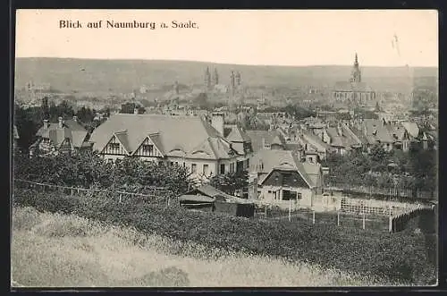 AK Naumburg a. Saale, Teilansicht von oben