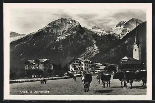 AK Krimml im Oberpinzgau, Ortsansicht mit Kühen und Berggipfeln