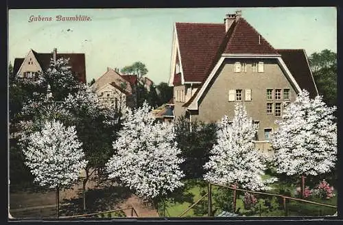 AK Guben, Ortspartie zur Baumblüte