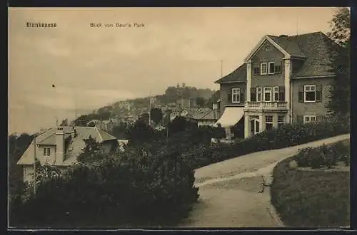 AK Hamburg-Blankenese, Haus Frenssen, Blick von Baur`s Park