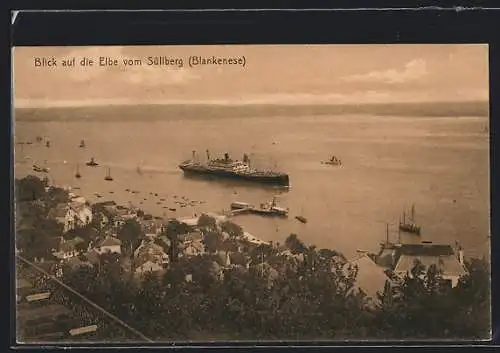 AK Hamburg-Blankenese, Elbpanorama mit Dampfer vom Süllberg aus