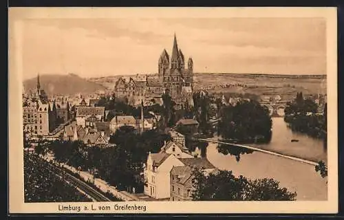 AK Limburg / Lahn, Schloss und Dom vom Greifenberg gesehen