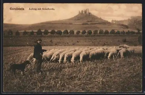 AK Gerolstein, Auberg mit Schafherde