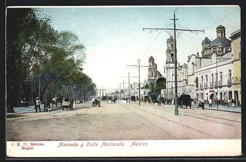 AK Mexico, Alameda y Calle Mariscala