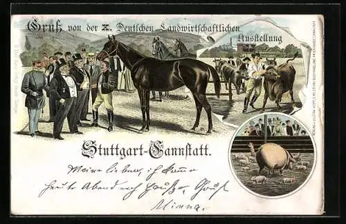 Lithographie Stuttgart-Cannstatt, X. Deutsche Landwirtschaftliche Ausstellung, schwarzes Ross, Bullen und Ferkel