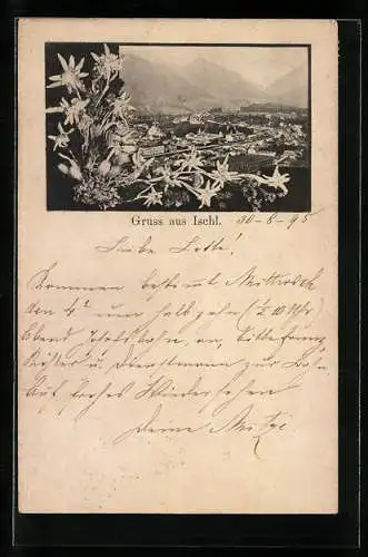 Vorläufer-AK Ischl, 1895, Ortsansicht aus der Vogelschau, Edelweiss