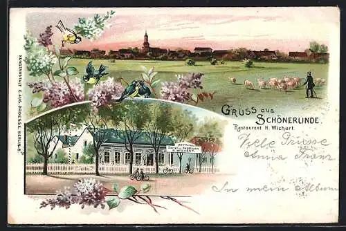 Lithographie Schönerlinde, Restaurant H. Wicher, Hirte mit Schafsherde