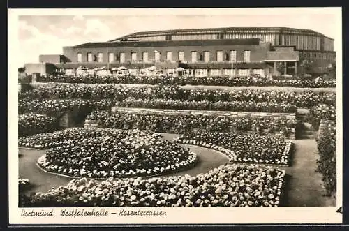 AK Dortmund, Westfalenhalle mit Rosenterrassen
