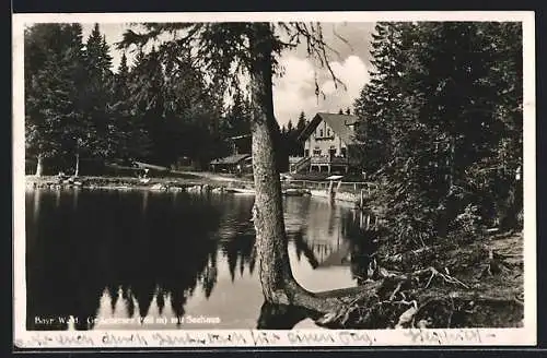 AK Gr. Arbersee /Bayr. Wald, Blick auf das Ufer mit Seehaus