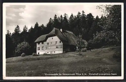 AK Moosenmättle / Schwarzwald, Gasthaus zum grünen Baum