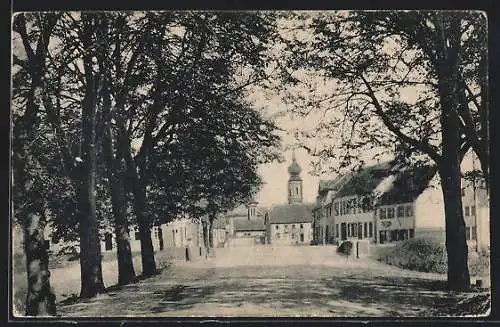 AK Gernsheim a. Rh., Rheinallee mit Kirche