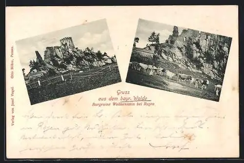 AK Regen /Bayr. Wald, Burgruine Weissenstein