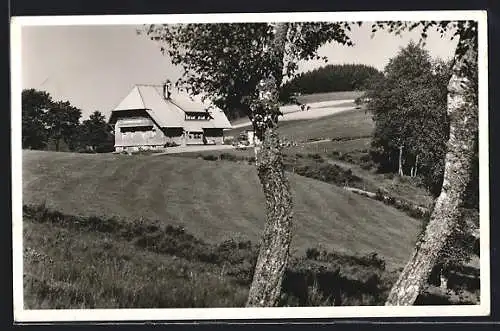 AK Oberprechtal /Schwarzwald, Höhengasthaus und Pension Landwassereck