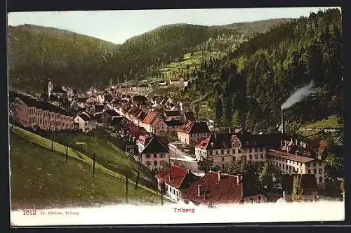 AK Triberg /Schwarzwald, Ortsansicht aus der Vogelschau