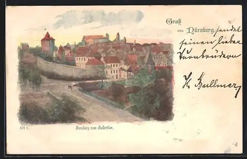 AK Nürnberg, Ortsansicht vom Hallerthor