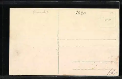 AK Heidenheim a. Br., Gesamtansicht mit Schloss und Bahnhof