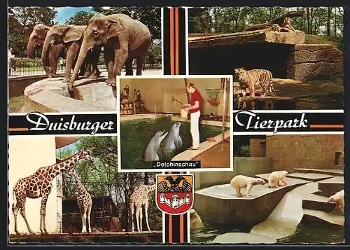 AK Duisburg, Tierpark, Eisbären, Elefanten, Giraffen