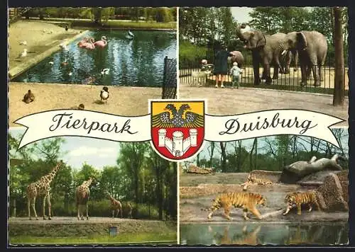 AK Duisburg, Tierpark, Elefanten, Tiger, Giraffen