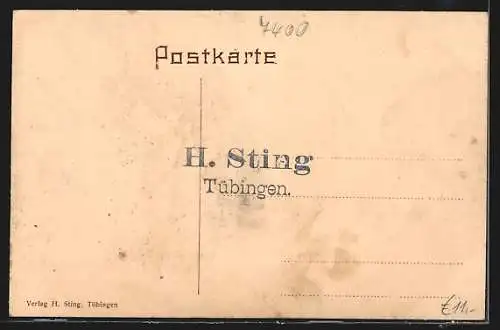 AK Bebenhausen, Ortsansicht aus der Vogelschau