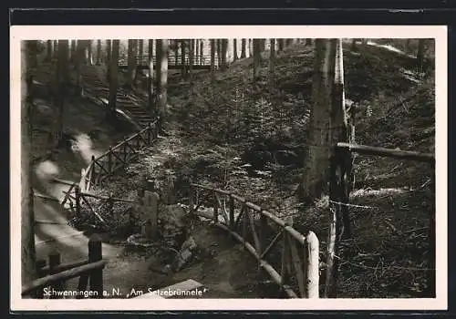 AK Schwenningen a. N., Weg Am Setzebrünnele