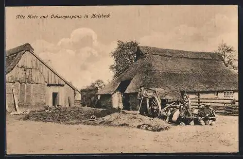 AK Halsbeck, Alte Kate und Ochsengespann mit Bauer