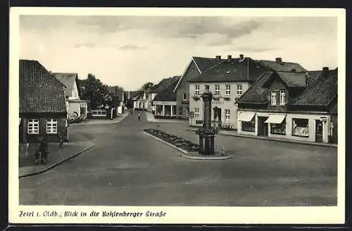 AK Zetel i. Oldb., Blick in die Bohlenberger Strasse