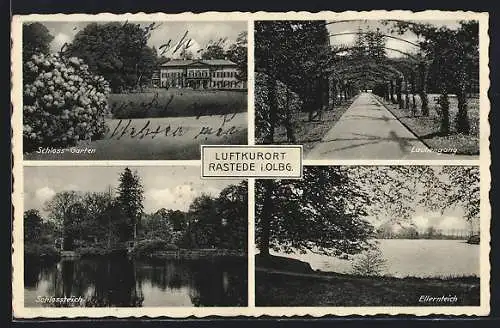 AK Rastede i. O., Schloss-Garten, Laubengang, Schloss- u. Ellernteich