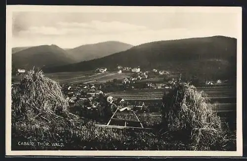 AK Cabarz /Thür. Wald, Teilansicht mit Heuballen