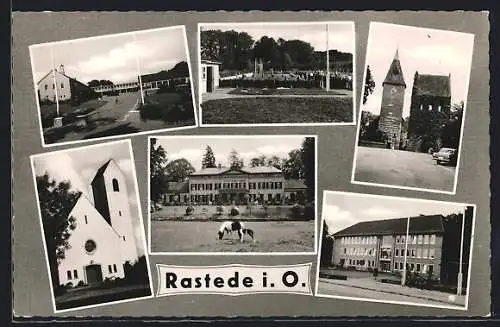 AK Rastede i. O., Schwimmbad, Kirche, Stute mit Fohlen