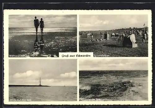 AK Eckwarden, Wattwanderung, Strandleben, Blick auf die See