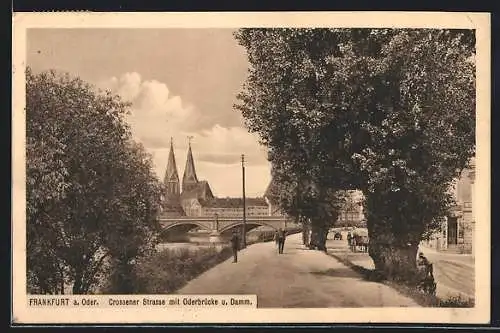 AK Frankfurt a. Oder, Crossener Strasse mit Oderbrücke, Kirche und Damm