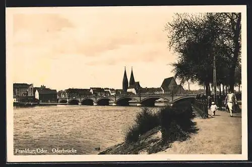 AK Frankfurt / Oder, Teilansicht mit Oderbrücke