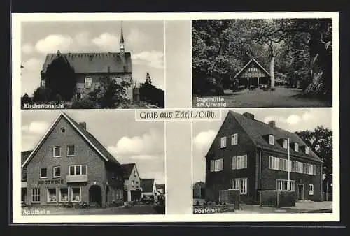 AK Zetel, Kirchenansicht, Apotheke, Postamt, Jagdhütte am Urwald