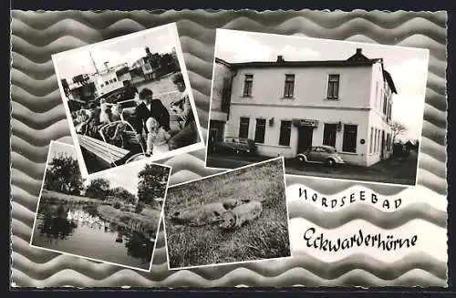 AK Eckwarderhörne, Gasthaus Zur Fähre, im Hafen, Heuler