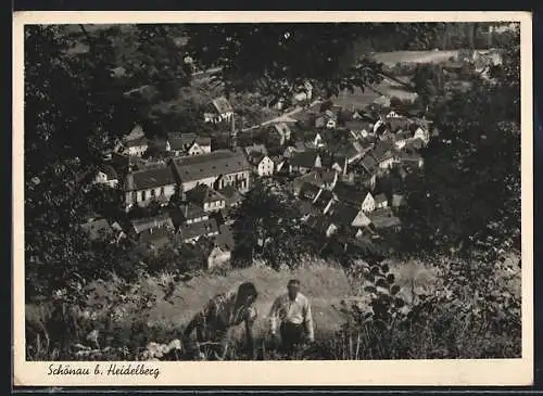 AK Schönau b. Heidelberg, Ortsansicht von oben