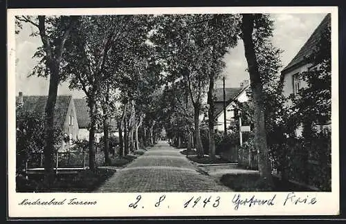 AK Tossens /Nordsee, Allee mit Wohnhäusern, Strassenpartie