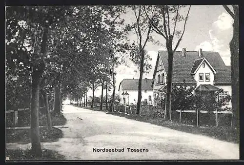 AK Tossens /Nordsee, Strassenpartie mit Villen