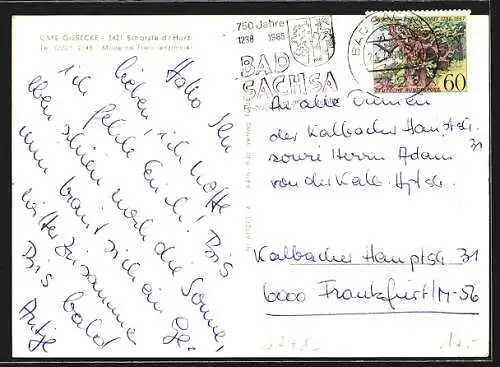 AK Scharzfeld /Harz, Cafe Kurt Giesecke, Innenansicht, Schwimmbad