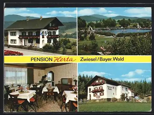 AK Zwiesel /Bayer. Wald, Pension Herta, Inh. Fritz u. Herta Weiss