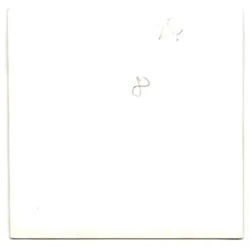 Fotografie Auto, Formel Rennwagen, Bolide mit Startnummer 33