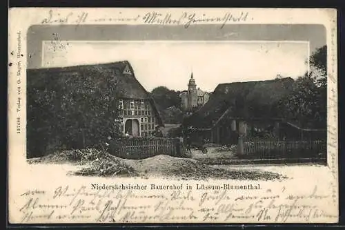 AK Lüssum-Blumenthal, Niedersächsischer Bauernhof, Turmgebäude